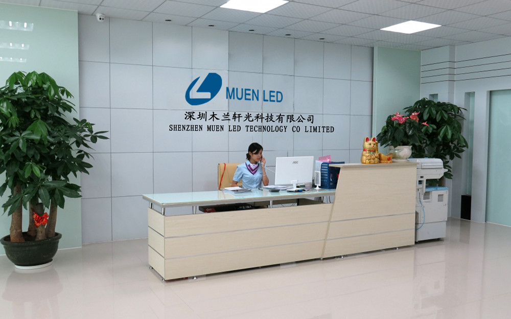 shenzhen MUENLED Co., Ltd خط إنتاج المصنع